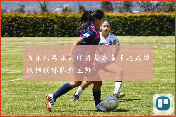 马尔科席尔瓦即将与本菲卡达成协议担任球队新主帅